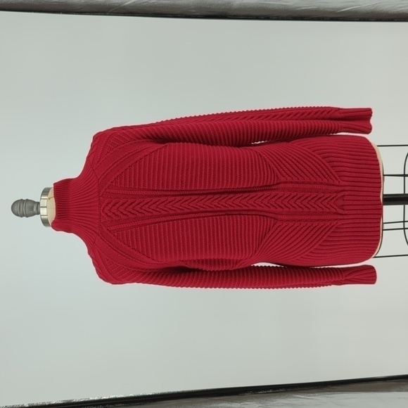 Banana Republic Chunky Turtleneck Sweater Red M fall cabincore preppy heritage - Picture 2 of 6